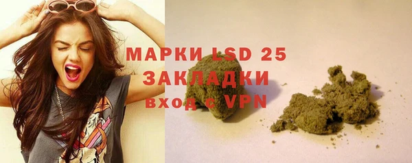 таблы Осинники