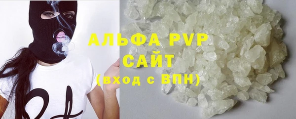 ГАЛЛЮЦИНОГЕННЫЕ ГРИБЫ Осташков