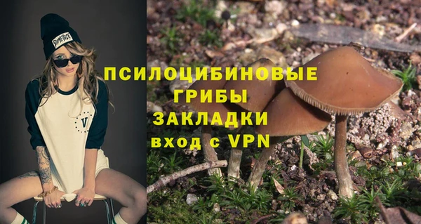 ГАЛЛЮЦИНОГЕННЫЕ ГРИБЫ Осташков
