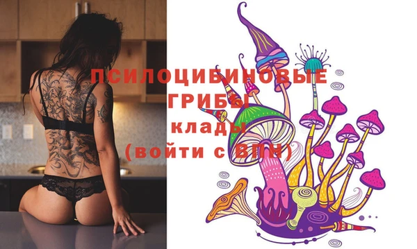 таблы Осинники