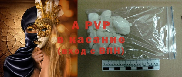 ГАЛЛЮЦИНОГЕННЫЕ ГРИБЫ Осташков