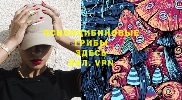 ГАЛЛЮЦИНОГЕННЫЕ ГРИБЫ Осташков