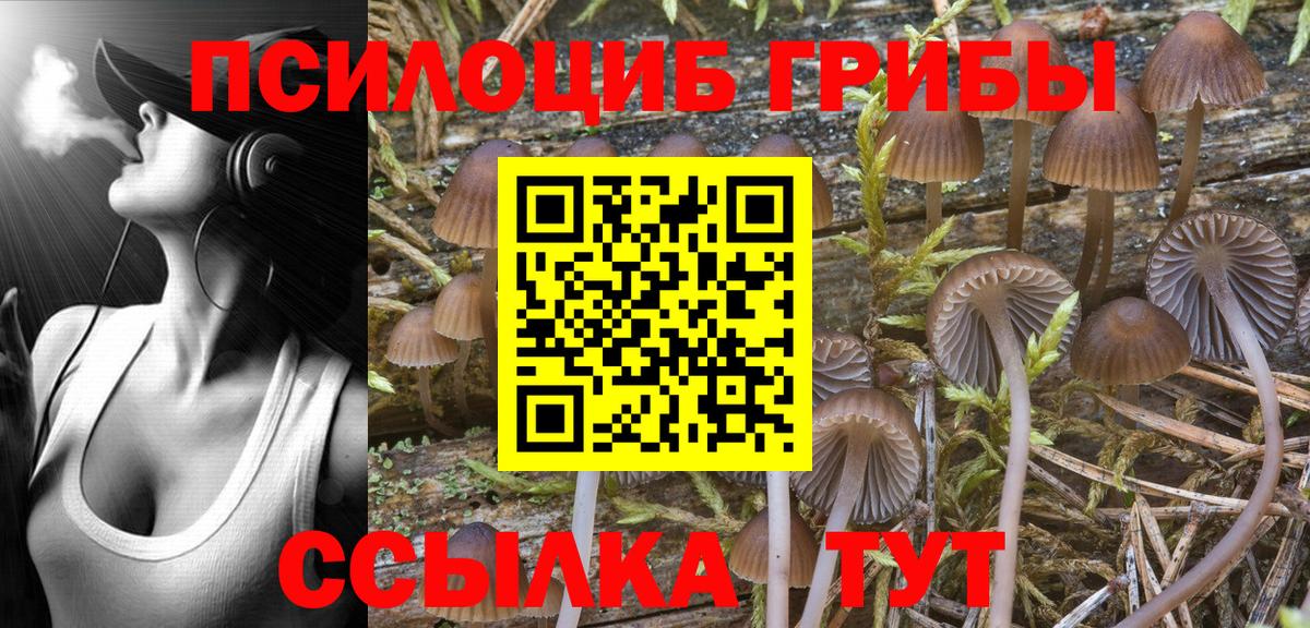 Чебаркуль  Галлюциногенные грибы мицелий  Вход с VPN 