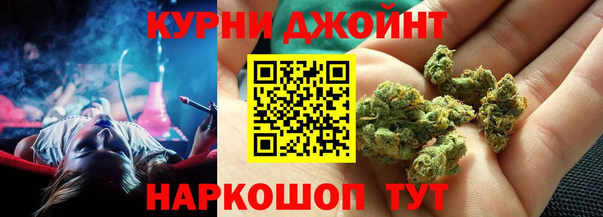 Бошки Шишки планчик Чебаркуль